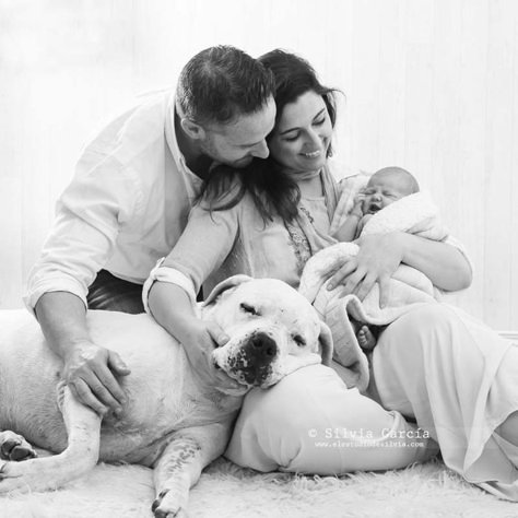 Baby And Dog Photography, Family Dog Photos, Newborn And Dog, Newborn Photo Pose, Newborn Family Pictures, Baby Boy Newborn Pictures, Family Photos With Baby, Baby Pictures Newborn, Newborn Family Photos