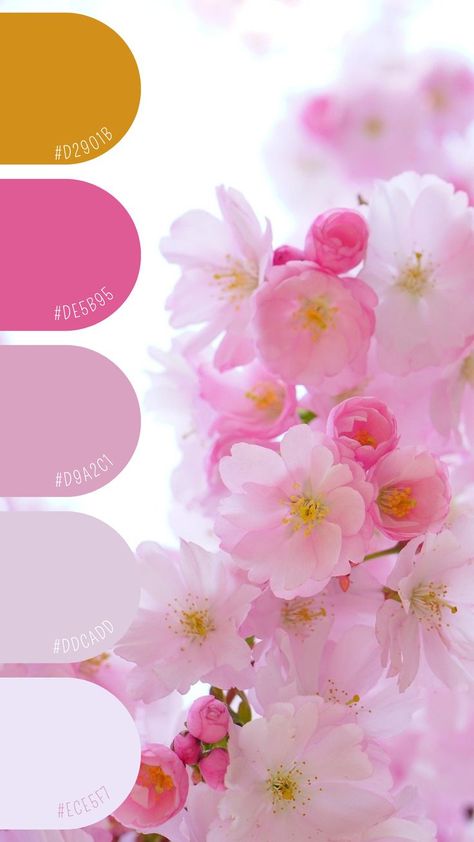 Cherry Blossom Color Palette, Blossom Color Palette, Cherry Blossom Color, Room Color Combination, Color Design Inspiration, Bridesmaid Colors, Paint Color Palettes, Pink Bedroom, Diy Art Painting