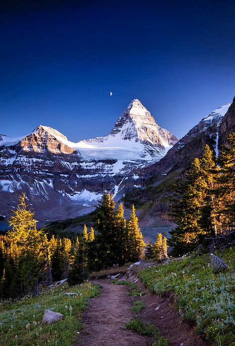 Mount Assiniboine, Snow Capped Mountains, Image Nature, Places In The World, Amazing Views, British Columbia Canada, Most Beautiful Cities, Beautiful Places In The World, Alam Yang Indah