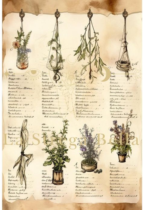 Witchy herbs and potions on a poster: Please note: This is for 1 poster only  The watermark will not be visible on the file you receive. This is a digital sheet which you download and print yourself - no need to wait. You can DOWNLOAD INSTANTLY. Please note that NO physical item will be sent. IMPORTANT NOTES ** Only digital files included. ** No physical item will be shipped. ** The image above shows you what the design looks like after printed and framed. ** Colors may vary slightly depending on the resolution of your screen. ** Printing results will also vary depending on your printer. ** Purchases are for PERSONAL USE only. You may not reproduce or re-sell in either print or digital form. All files are high quality 300 (dpi, pixels per inch) Witch digital prints on Etsy are an affordabl Witchy Posters, Witchy Herbs, Herb Prints, Personal Altar, Witch Herbs, Backgrounds For Your Phone, Witch Aesthetic, Elegant Tattoos, Detailed Drawings