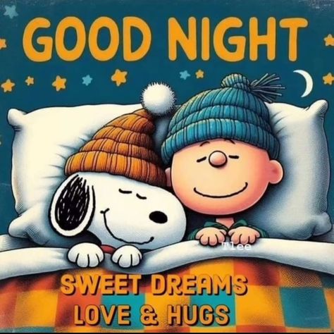 #GoodnightEveryone have a blessed night! Goodnight Snoopy Sweet Dreams, Funny Good Night Pictures, Happy Snoopy, Goodnight Snoopy, Cute Good Night Quotes, Have A Blessed Night, Blessed Night, Good Night Sleep Tight, Good Night Funny