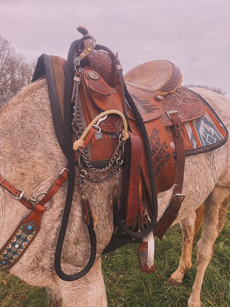 Western Horse Tack Aesthetic, Western Riding Clothes, Barrel Racing Tack Rodeo, Barrel Horses, Western Bedrooms, Barrel Racing Saddles, Barrel Racing Tack, Barrel Saddle, Western Tack