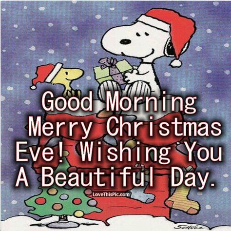 Snoopy Good Morning Christmas Eve Quote Good Morning Christmas Eve, Christmas Eve Quote, Christmas Eve Meme, Funny Christmas Eve Quotes, Snoopy Good Morning, Christmas Eve Pictures, Merry Christmas Eve Quotes, Merry Christmas Charlie Brown, Christmas Eve Quotes