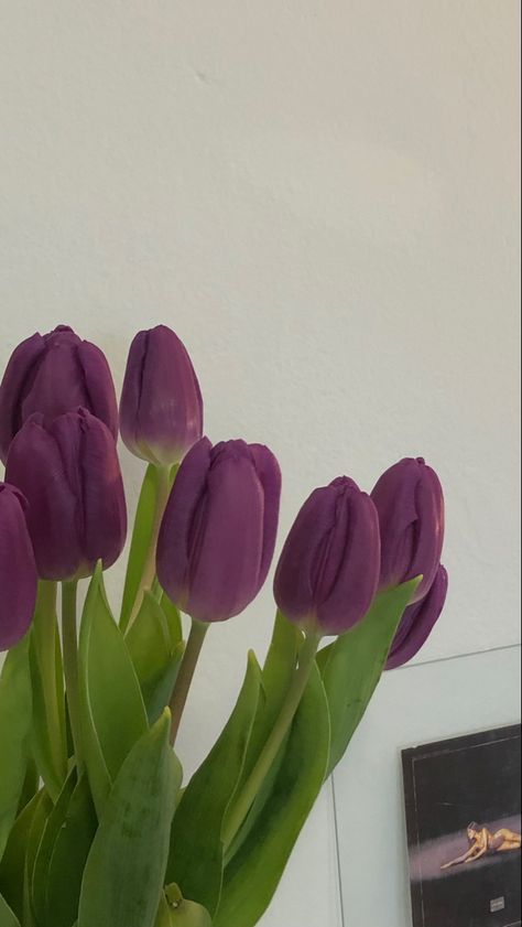 Flowers White Tulips, Flower Screensaver, Cute Pfp, Bloom Where Youre Planted, Aesthetic Shorts, Boquette Flowers, 1 Aesthetic, Nothing But Flowers, Purple Tulips