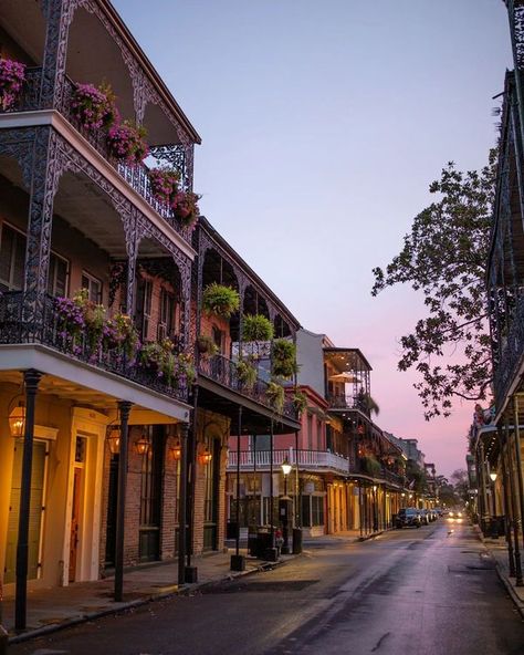 Nova Orleans Aesthetic, New Orleans Aesthetic French Quarter, Nola Aesthetic, Louisiana Aesthetic, New Orleans Aesthetic, New Orleans Festivals, Nola Trip, New Orleans Vacation, New Orleans City