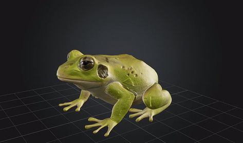 3d Frog, Toad Frog, Math Art, 2d Art, Art Tools, Toad, Watch Collection, 3d Print, Halloween Fun