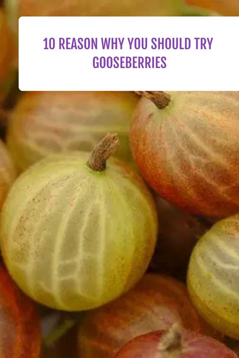 Gooseberry bushes produce edible fruit. They taste sweet when ripe. Adding these berries to a fruit salad with a little whipped cream or eating them by the Gooseberry Plant, Gooseberry Jam, Gooseberry Bush, Fresh Summer Salad, A Fruit, Fruit Garden, Reason Why, Health Wellness, Chutney