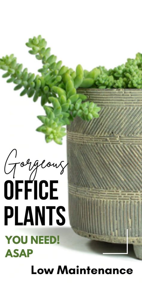 Work Desk Organization Ideas, Desk With Plants, Plant Office Decor, Desk Organization Ideas, Work Desk Organization, Productivity At Work, Plants Office, Something Green, Happy At Work