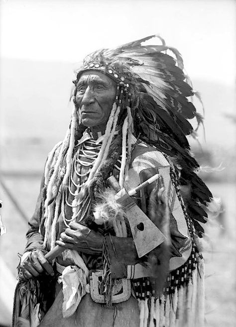 Media Tweets by Tȟatȟaŋka ⊕ (@Chief_Tatanka) on Twitter Western Montana, Sitting Bull, American Indian History, Native American Warrior, Native American Images, Native American Chief, Native American Men, Native American Pictures, Wilde Westen