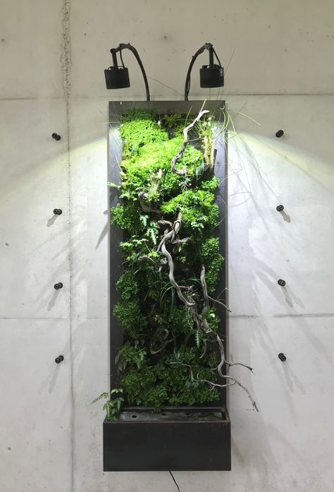 Vertical Terrarium Ideas, Vertical Vivarium, Vertical Terrarium, Closed Terrarium Design, Long Terrarium, Giant Terrarium, Vertical Paludarium, Wall Terrarium, Modern Terrarium