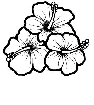 Hummingbird And Hibiscus Drawing Bing Images Sketch Coloring Page Hummingbird And Hibiscus, Hur Man Ritar Blommor, Hibiscus Drawing, Hibiscus Flower Drawing, Plumeria Tattoo, Black And White Flower, Flower Sketches, Plant Drawing, Hawaiian Flowers