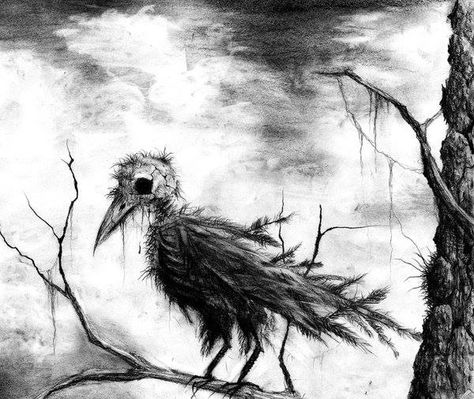 Stephen Gammell, Scary Birds, Scary Drawings, Scary Stories To Tell, Raven Art, Dark Tattoo, Scary Art, Creepy Art, Scary Stories