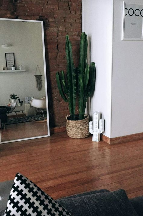 Cactus Living Room Decor, Cactus Interior Design, Indoor Plants Apartments, Indoor Cactus Plants, Plantas Interior, 25 Beautiful Homes, Boho Entryway, Funky House, Indoor Cactus