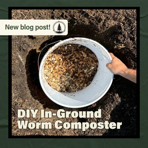 DIY in-ground bucket vermicomposters are one of the easiest ways to vermicompost outdoors while boosting the fertility of your soils!  Get easy, step-by-step instructions on building, starting, and maintaining your DIY In-Ground Worm Composter.  #DIY #InGroundWormComposting #SoilFertility #RedWigglers #Vermicomposting Composter Diy, Wood Chip Mulch, Red Wigglers, False Bottom, Red Worms, Worm Composting, Plant Roots, Veggie Garden, Gardening Ideas