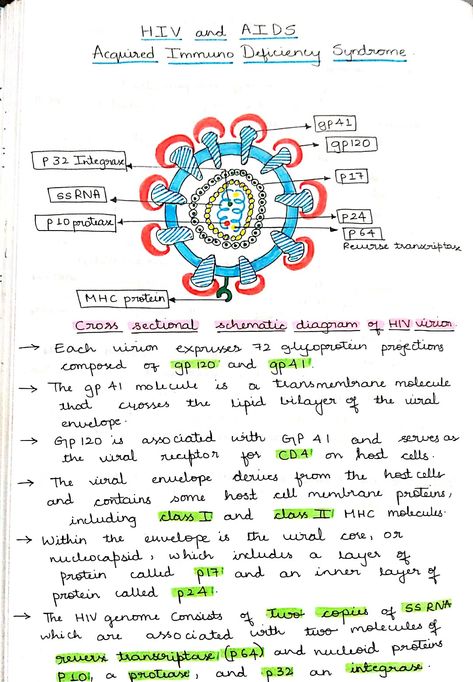 Class 12 Biology Notes Human Health And Disease, Human Health And Disease Notes Class 12, Human Health And Disease Notes, Viruses Notes, Botany Notes, Medical Microbiology, Microbiology Study, Nurse Study, Study Biology