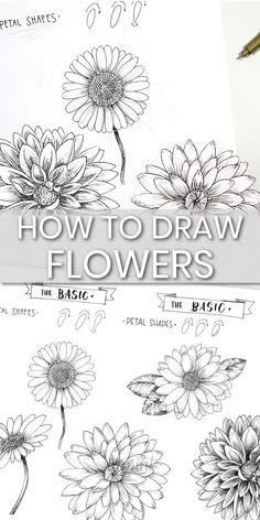 Drawing Advanced, Journal Easy, Journal Flowers, How To Draw Flowers, Flowers Journal, Easy Flower Drawings, Draw Flowers, Flowers Easy, Pencil Sketch Drawing