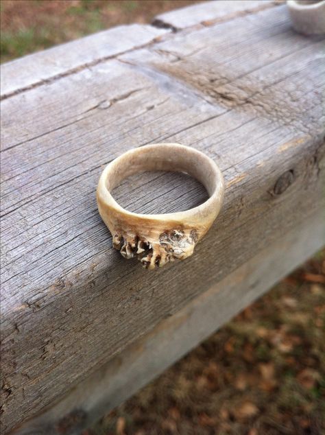 Antler, naturally shed, white tail deer ring.  .  Wanderinarrow@gmail.com Deer Ring, Antler Projects, Deer Antler Crafts, Deer Rings, Deer Antler Jewelry, Antler Ideas, Deer Antler Decor, White Tail Deer, Deer Antler Ring