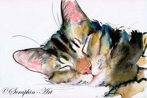 수채화 그림, Watercolor Cat, Arte Sketchbook, Watercolor Drawing, Dog Paintings, Cat Painting, Watercolor Animals, Cat Illustration, Cat Drawing