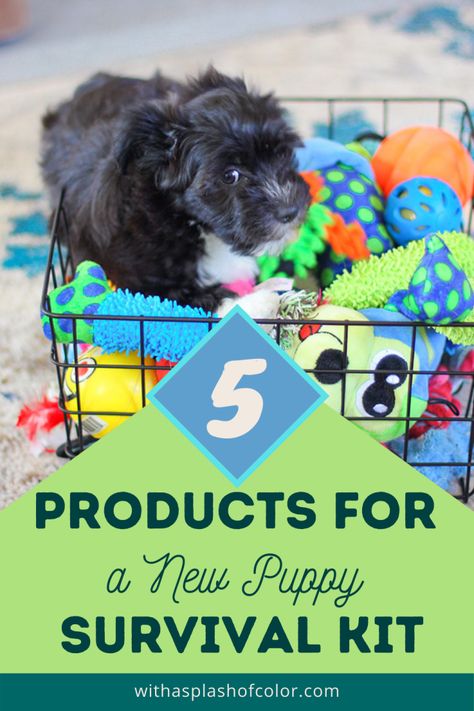 New Puppy Survival Kit Puppy Kit, Puppy Pads Training, Potty Pads, Fluffy Bedding, Pet Steps, Splash Of Color, Dog Care Tips, Puppy Food, Dog Shampoo