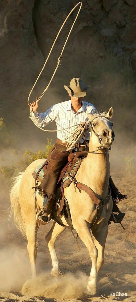 Cowboy Photography, Hummingbirds Photography, Cowboys And Angels, Cowboy Pictures, Cowboys Men, Grunge Guys, Cowgirl Art, Cowboy Horse, Cowboy Art