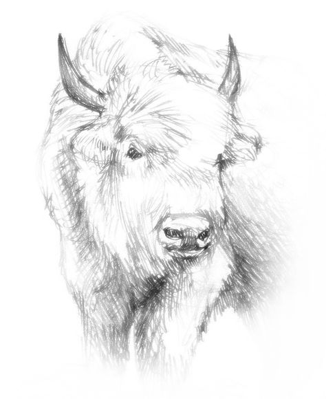 white buffalo | White Buffalo (New Beginnings) Series White Buffalo Tattoo, Guardian Tattoo, Bison Artwork, Bison Tattoo, Buffalo Tattoo, The White Buffalo, Buffalo Painting, Wood Burning Patterns Stencil, Lion Art