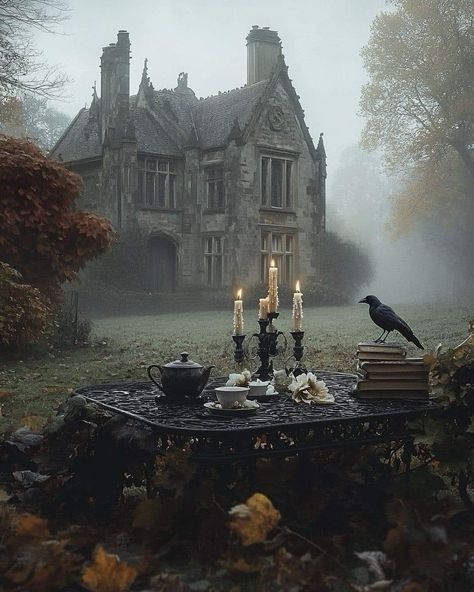 Colours Of The Wind, Vampire House, One Dark Window, Dark Window, Dark Victorian, Dark Windows, Samhain Halloween, Victorian Romance, Gothic Garden