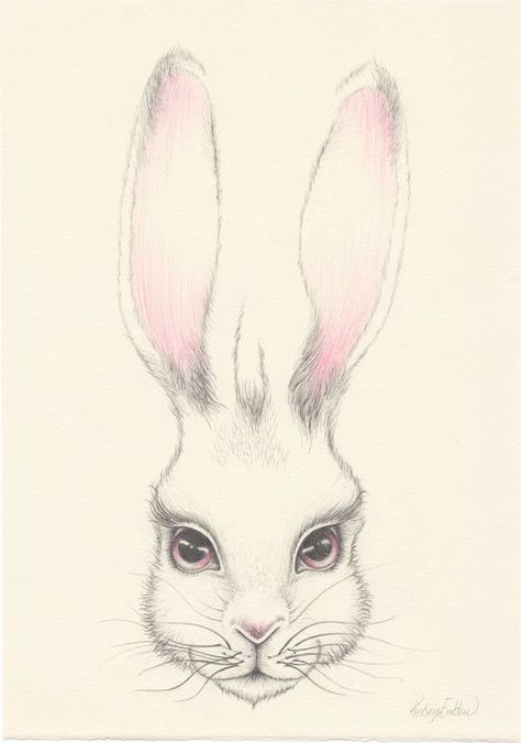 Buy Hare - Original pencil drawing, Pencil drawing by Kelsey Emblow on Artfinder. Discover thousands of other original paintings, prints, sculptures and photography from independent artists. Hare Illustration, Rabbit Pictures, Alice In Wonderland Inspired, Baby Clip Art, Rabbit Art, Bunny Face, Bunny Art, Decor Nursery, Holiday Art