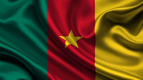 Cameroon Flag Mount Cameroon, Bantu People, Gb Flag, Cameroon Flag, Islamic Countries, Happy National Day, Brazil Flag, Logo Project, Flag Vector