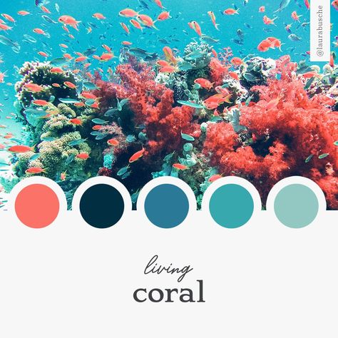 Brand Moodboard: Living Coral  https://laurabusche.com/moodboards/living-coral/  #infodesign #informationdesign #design #graphicdesign #designthinking Coral Reef Color, Coral Colour Palette, Brand Moodboard, Color Schemes Colour Palettes, Live Coral, Living Coral, Beach Color, Color Inspo, Color Of The Year