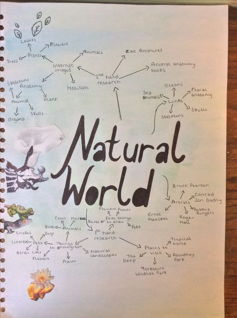 GCSE art 'Natural world ':ideas page My World Gcse Art, Gcse Art Environment Title Page, Fragments Mind Map Gcse Art, Natural World Art Gcse Title Page, Nature Mind Map Art Gcse, Our World Photography Gcse, Natural World Art Gcse, Art Sketchbook Flowers, Gcse Art Annotation