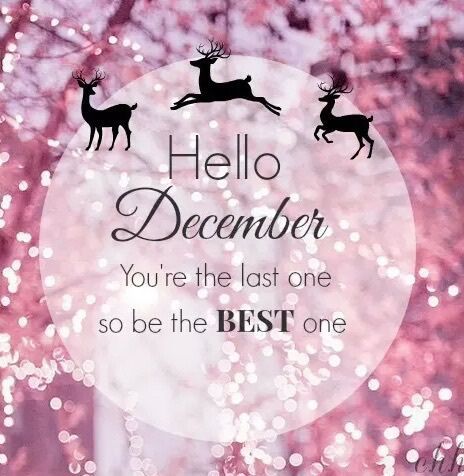 Hello December You Are The Last One So Be The Best december december quotes… Hallo December, Hello December Quotes, December Images, Neuer Monat, Welcome December, December Quotes, Children Education, Happy December, Hello December