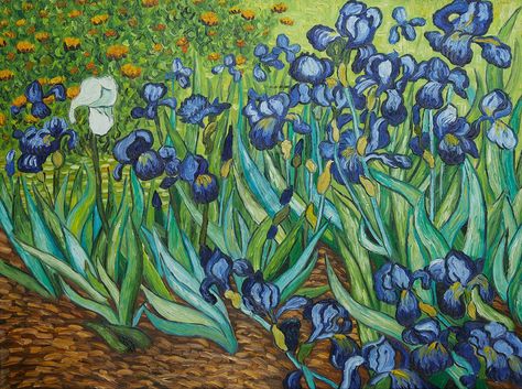 Van Gogh Art Lesson, Van Gogh Painting, Art With Meaning, Van Gogh Irises, Iris Painting, Inside Art, Starry Night Painting, Handmade Paintings, Vincent Van Gogh Art