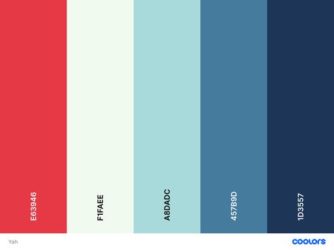 Nasa Color Palette, Fourth Of July Color Palette, Red White And Blue Color Palette, Story Brand, Beer Branding, July Colors, Vintage Nasa, Red Color Schemes, Red Colour Palette