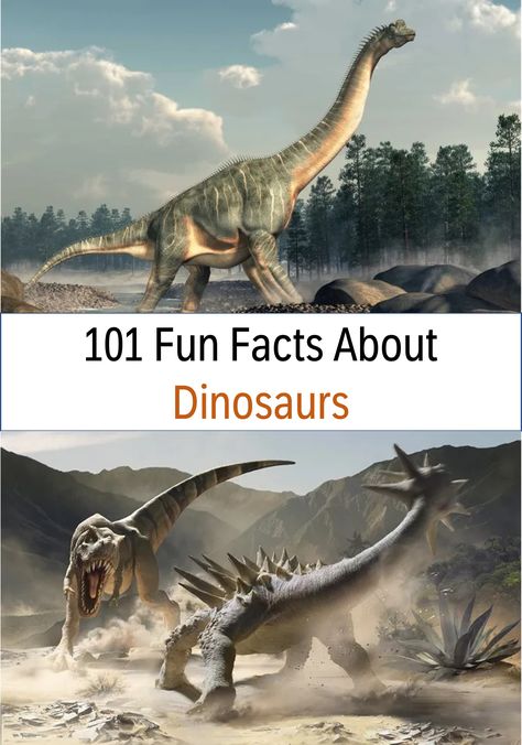 Over 101 amazing fun facts about Dinosaurs, 25 fun facts about Dinosaurs for kids, plus learn more about where they lived, what they ate, what they did, and so much more! #funfacts #dinosaurs Dino Facts, Facts About Dinosaurs, Dinosaur Facts For Kids, Dinosaurs For Kids, Dinosaur Types, Dinosaur Facts, Facts About Humans, Fun Facts For Kids, Largest Dinosaur