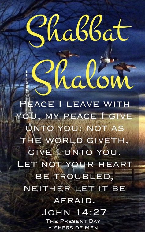 Good Morning Encouragement, Shabbat Blessings, Sabbath Greetings, Shabbat Shalom Quotes, Sabbath Blessings, Jewish Holiday Calendar, Bon Sabbat, Jewish Sabbath, Morning Encouragement