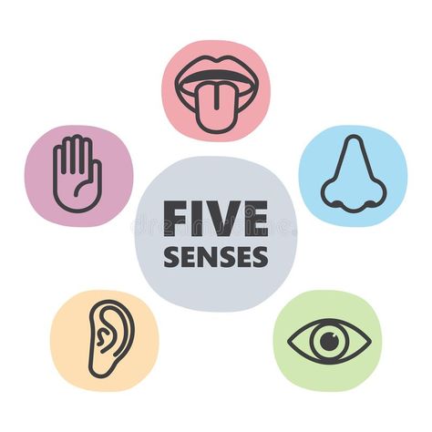 5 Senses Illustration, Senses Illustration, Human Senses, Body Parts For Kids, Taste Sense, Medical Artwork, Mayo 2022, Food Fest, Understanding Emotions