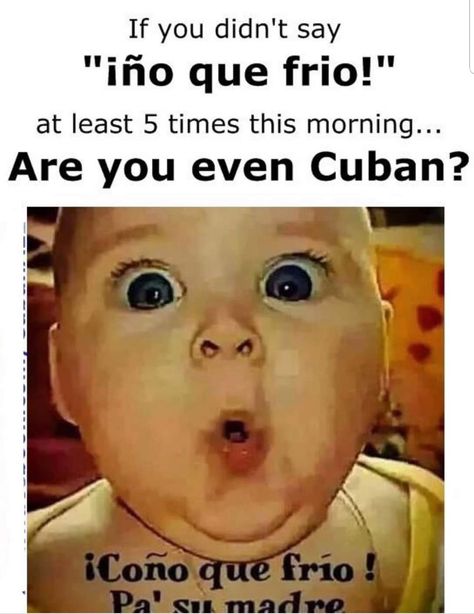 Cuban Humor, Royals High, Cuban Shirt, Cuban Shirts, Spanish Jokes, You Dont Say, Some Funny Jokes, I Can Relate, Cuba