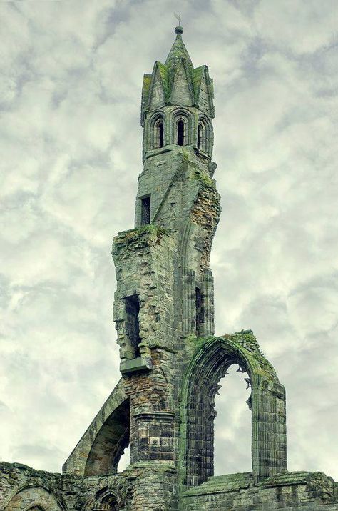 Scottish Ruins, Medieval Ruins, Fife Scotland, Istoria Artei, St Andrew, Scotland Uk, Cathedral Church, Castle Ruins, Old Building