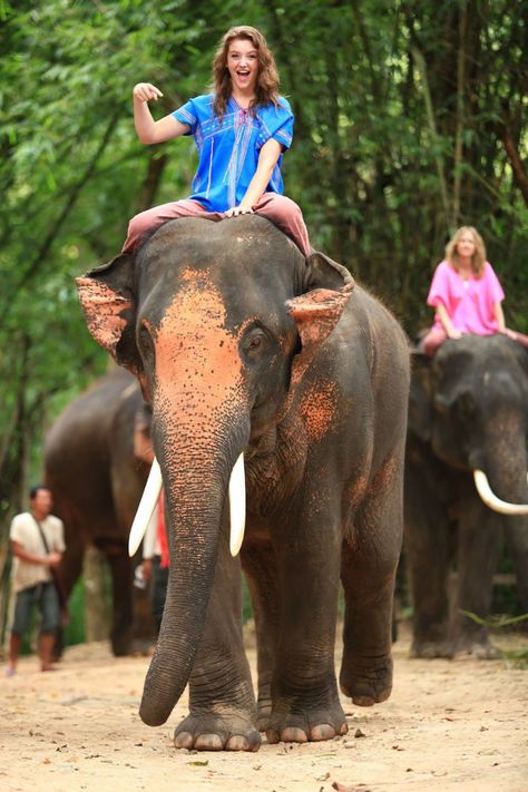 Ride An Elephant, Ride Elephant, Riding Elephants, Riding An Elephant, Future Board, India Holidays, Tours And Travels, Thailand Elephants, Elephant Ride