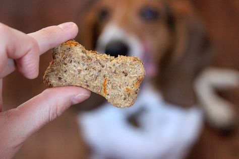 Spent Grain Dog Treats with Peanut Butter and Carrots Derby Snacks, Spent Grain Dog Treats, Dog Treats With Peanut Butter, Treats With Peanut Butter, Beer Knowledge, Baking With Beer, Pup Cakes, Boozy Baking, Homemade Dog Cookies