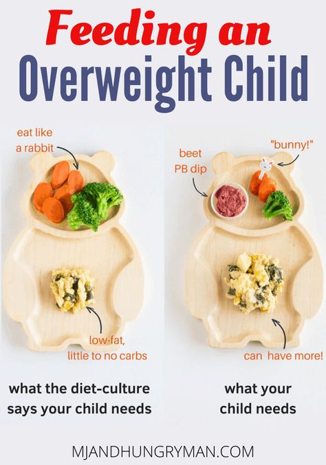 Here are some expert tips on how and what to feed overweight children. Remember, the ultimate goal is health and happiness not weight! Toddler Snack, Weaning Recipes, Kids Healthy, Healthy Lunchbox, Baby Weaning, Lunchbox Ideas, Low Fat Diets, Ideal Weight, Healthy Ideas