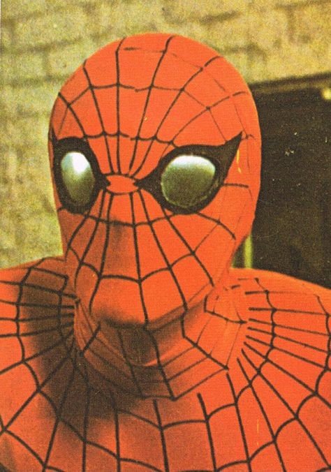 Nicholas Hammond is... Spiderman! (1977) Spiderman Tv, Nicholas Hammond, Comic Book Frames, Spider Man Trilogy, Marvel Comics Superheroes, Marvel Tv, Spectacular Spider Man, Spiderman Artwork, Across The Spider Verse