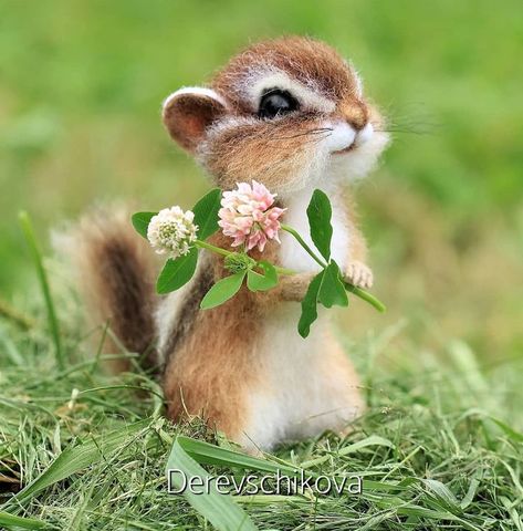 Reference Photos For Artists, Mystical Animals, Forest Tattoos, Animal Toys, Forest Art, Cute Animal Photos, Woodland Creatures, Amigurumi Toys