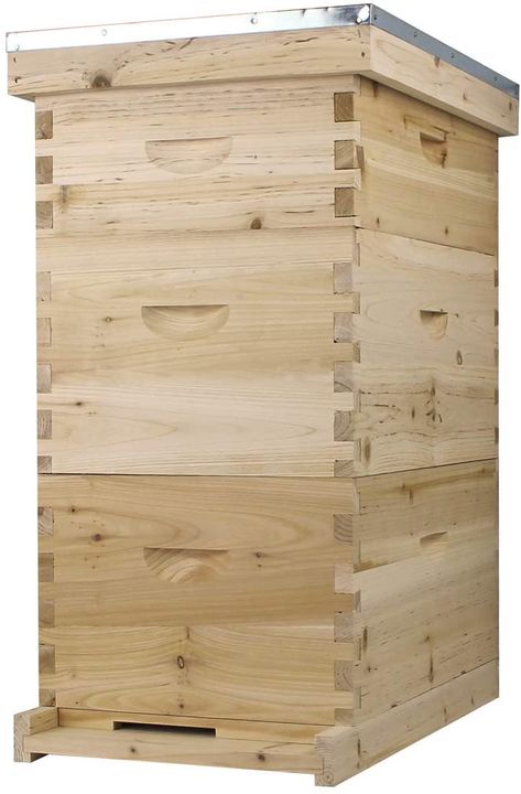 8 Frame Langstroth Hive Dimensions - Complete Beehives Bee Hive Kits, Langstroth Hive, Bee Colony, Backyard Beekeeping, Honey Bee Hives, Bee Keeping Supplies, Bee Boxes, Dovetail Joints, Box Package