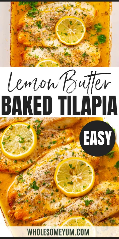 Baked Tilapia Recipe Lemon Garlic Tilapia Recipes, Broil Tilapia In Oven, Lemon Tilapia Baked, Tilapia Filet Recipes, Tilapia In The Oven How To Bake, Oven Baked Talipia, Tilapia Recipes Keto, Lemon Butter Tilapia Baked, Talipa Recipes Oven