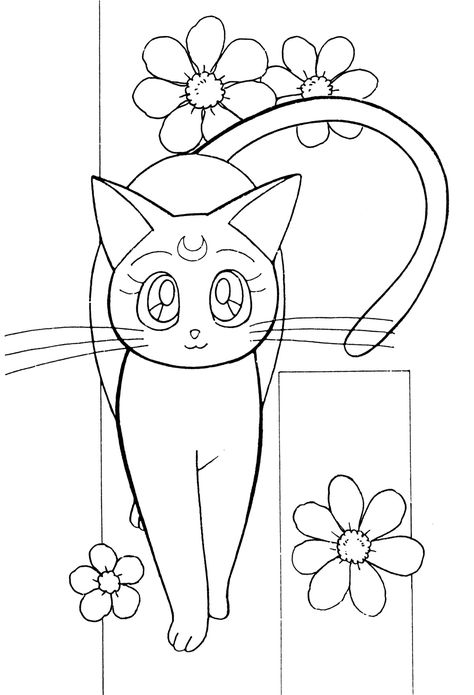 Sailor Moon Coloring, Belle Coloring Pages, Sailor Moon Background, Sailor Moon Coloring Pages, Sailor Moon Cat, Cat Coloring Pages, Moon Coloring Pages, Luna And Artemis, Sailor Moon Luna