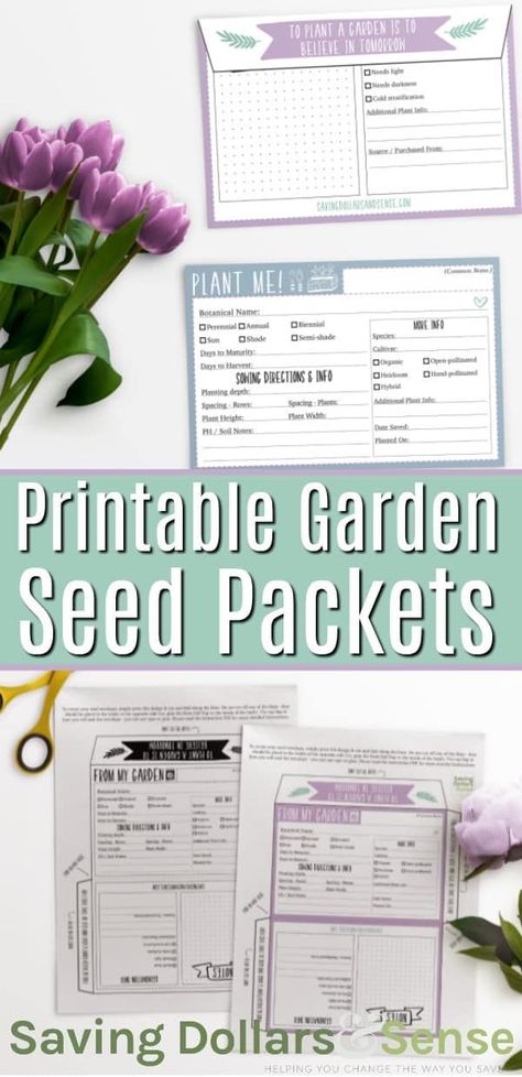 Printable Seed Packets | These garden seed storage packets are a nice and easy way to keep track of all of your seeds #gardening #printable #freebie #storage Printable Seed Packets, Seed Packet Template, Garden Seeds Packets, Cleaning Window Tracks, Seed Storage, Spring Planting, Home Greenhouse, Greenhouse Plans, Seed Saving