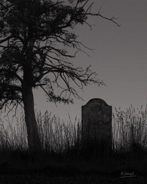 . Epitaph of the forgotten ---------- - Images taken from free stock photos website, edited in Photoshop. . #darkart #darkphotography #darkvibes #darknmoody_hunter #trees #treesofdarkness #gothic #gothicvibes #ethereal_dark #gothicvibes #gothicart #tombstones #graveyard #cemetery #kimul #kimulart Grave Aesthetic, Dark Graveyard, Ethereal Dark, Photo Website, Dark Photography, Gothic Art, Graveyard, Dark Art, Cemetery