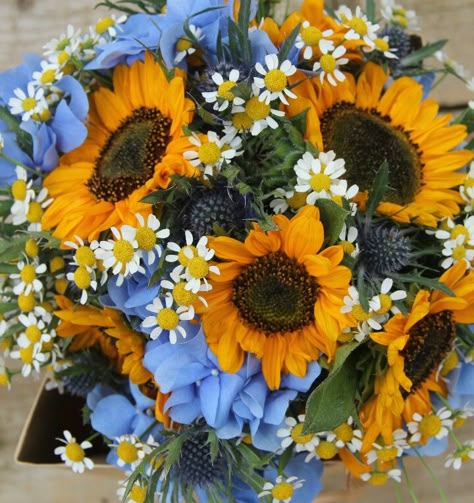 Fall/Autumn Wedding Bouquet Showcasing: Blue Hydrangea, Blue Eryngium Thistle, White/Yellow Chamomile Daisies, Yellow-Orange Sunflowers, Greenery Autumn Wedding Bouquet, Hydrangea Blue, Orange Sunflowers, Wedding Blue, Sunflower Decor, Autumn Wedding, Blue Hydrangea, Wedding Bouquet, Fall Autumn