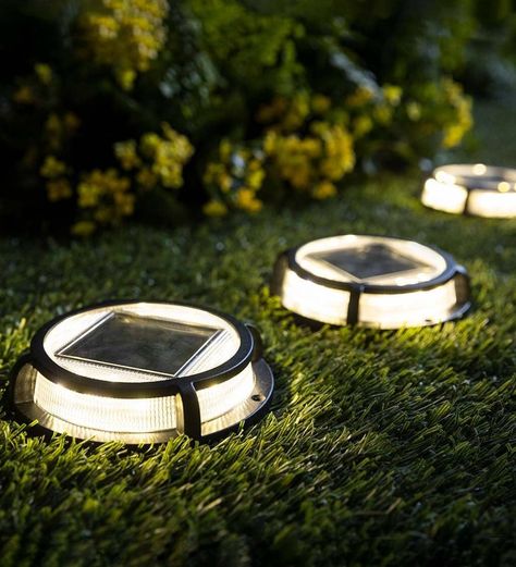 SOLAR PATHWAY LIGHTS - Set of 3 solar-powered pathway lights provide light for any walkway, path, garden and more CORDLESS CONVENIENCE - Solar panel built-in to charge via the sunlight during the day. Place anywhere you want beautiful light and color #solarlights #gardendecor #pathwaylights Sidewalk Lighting, Yard Patio Ideas, Walkway Garden, Decorative String Lights, Outdoor Ambiance, Solar Pathway Lights, Solar Lighting, Pathway Lights, Outdoor Lighting Landscape